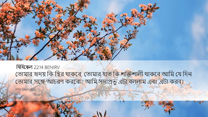 যিহিষ্কেল 22:14 BENIRV Bible Verse Image