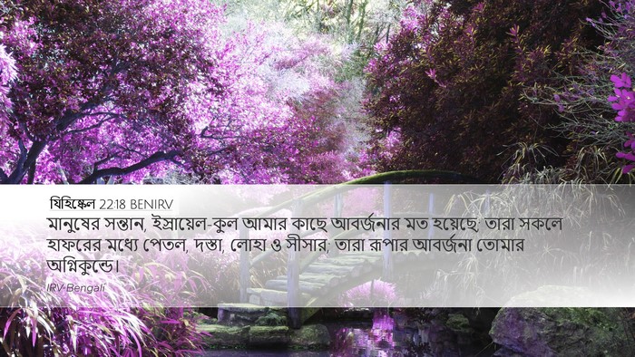 যিহিষ্কেল 22:18 BENIRV Bible Verse Image
