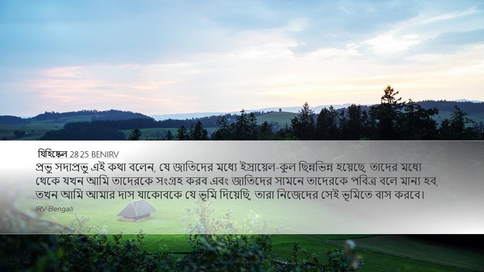 যিহিষ্কেল 28:25 BENIRV Bible Verse Image