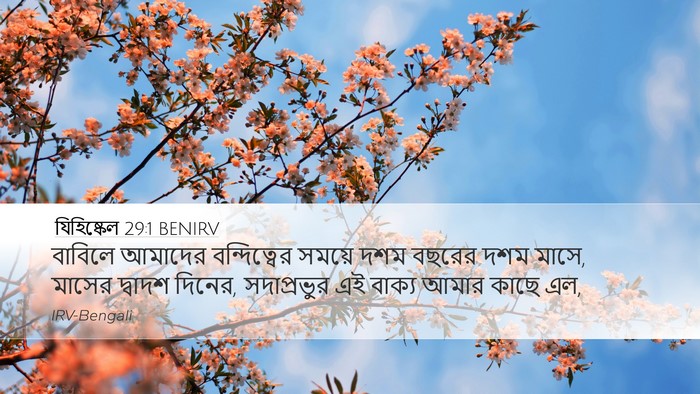 যিহিষ্কেল 29:1 BENIRV Bible Verse Image