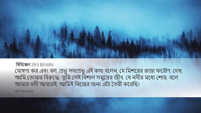 যিহিষ্কেল 29:3 BENIRV Bible Verse Image