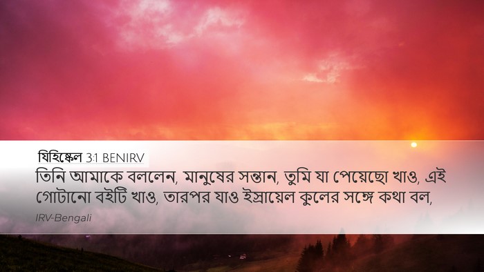 যিহিষ্কেল 3:1 BENIRV Desktop Wallpaper - তিনি আমাকে বললেন, - Desktop Bible Verse Wallpaper