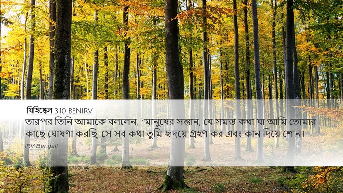 যিহিষ্কেল 3:10 BENIRV Bible Verse Image