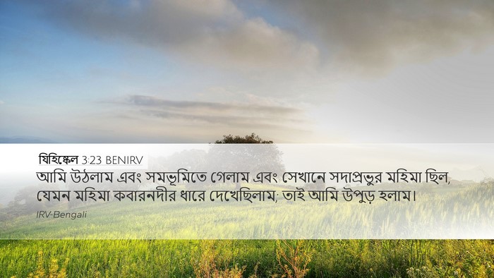 যিহিষ্কেল 3:23 BENIRV Bible Verse Image