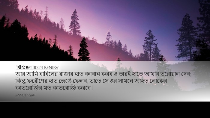 যিহিষ্কেল 30:24 BENIRV Bible Verse Image