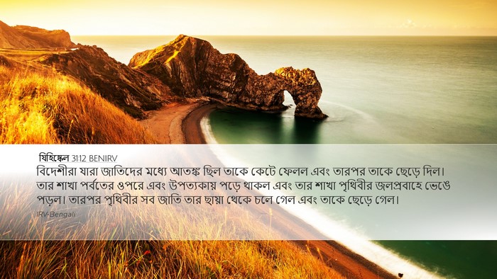 যিহিষ্কেল 31:12 BENIRV Bible Verse Image