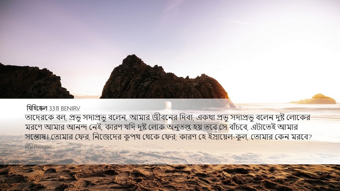 যিহিষ্কেল 33:11 BENIRV Bible Verse Image