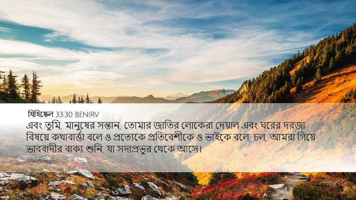 যিহিষ্কেল 33:30 BENIRV Bible Verse Image
