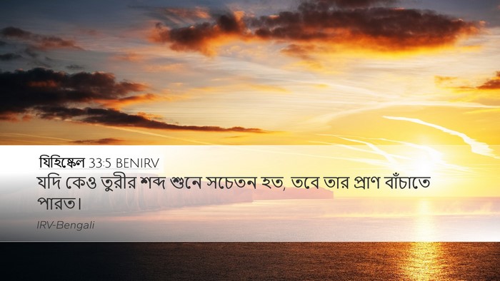 যিহিষ্কেল 33:5 BENIRV Bible Verse Image