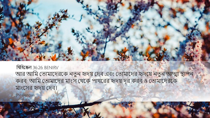 যিহিষ্কেল 36:26 BENIRV Bible Verse Image