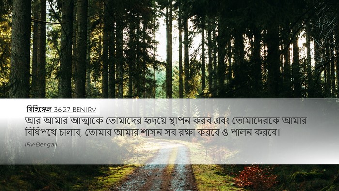 যিহিষ্কেল 36:27 BENIRV Bible Verse Image