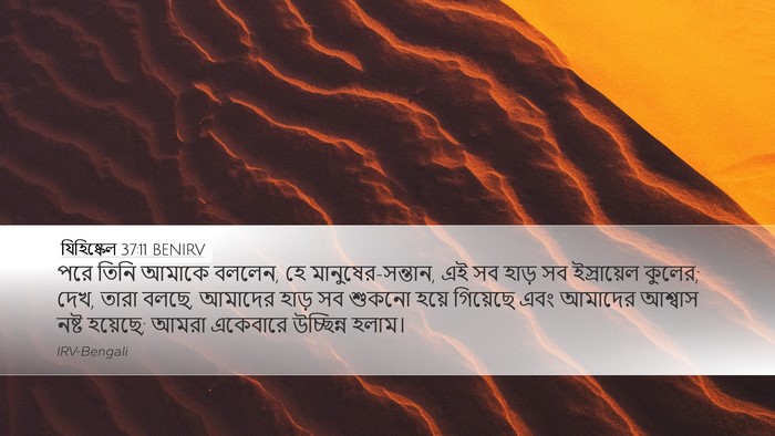 যিহিষ্কেল 37:11 BENIRV Bible Verse Image