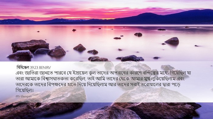 যিহিষ্কেল 39:23 BENIRV Bible Verse Image