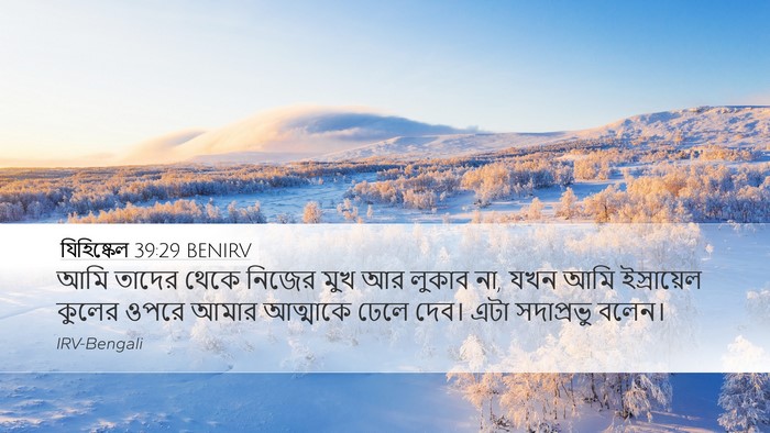 যিহিষ্কেল 39:29 BENIRV Bible Verse Image