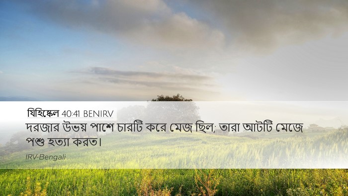 যিহিষ্কেল 40:41 BENIRV Bible Verse Image