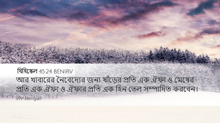যিহিষ্কেল 45:24 BENIRV Bible Verse Image