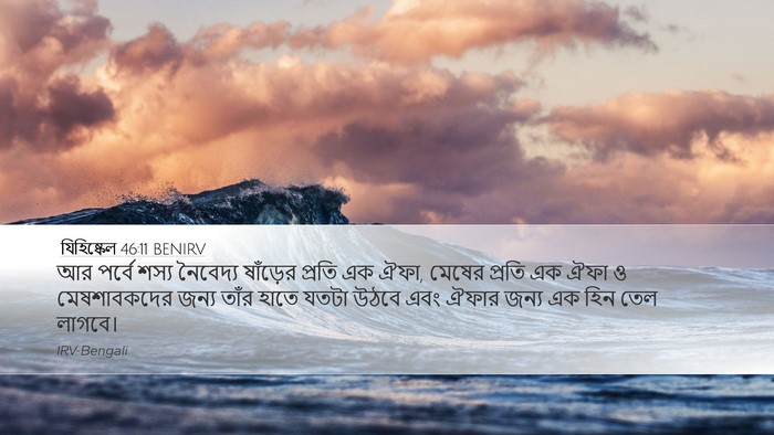 যিহিষ্কেল 46:11 BENIRV Bible Verse Image