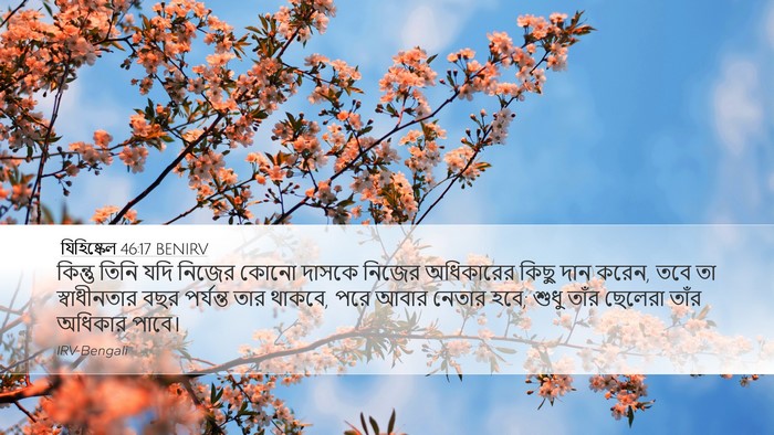 যিহিষ্কেল 46:17 BENIRV Bible Verse Image