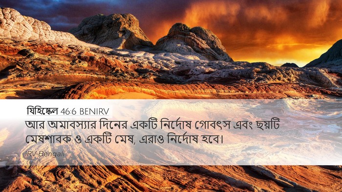 যিহিষ্কেল 46:6 BENIRV Bible Verse Image