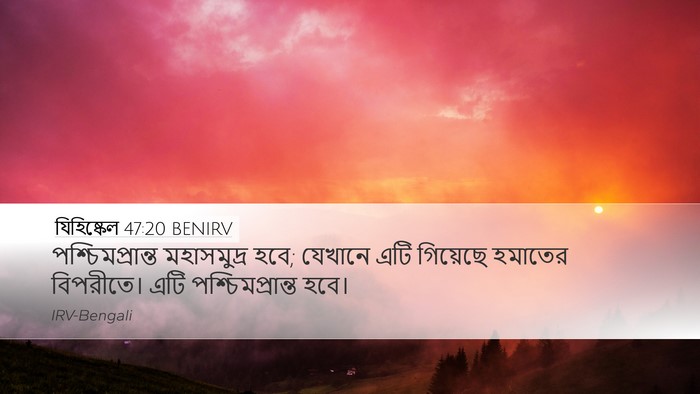 যিহিষ্কেল 47:20 BENIRV Bible Verse Image