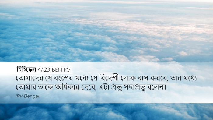 যিহিষ্কেল 47:23 BENIRV Desktop Wallpaper - তোমাদের যে বংশের - Desktop Bible Verse Wallpaper