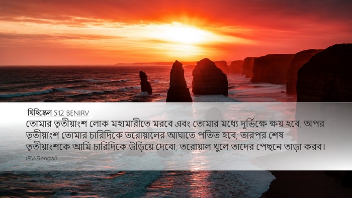 যিহিষ্কেল 5:12 BENIRV Bible Verse Image