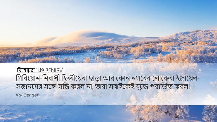 যিহোচূৱা 11:19 BENIRV Bible Verse Image