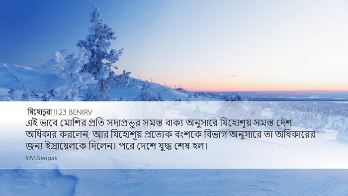 যিহোচূৱা 11:23 BENIRV Bible Verse Image