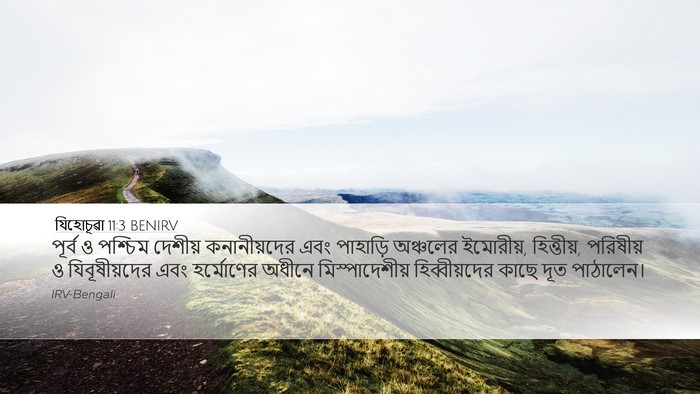 যিহোচূৱা 11:3 BENIRV Bible Verse Image
