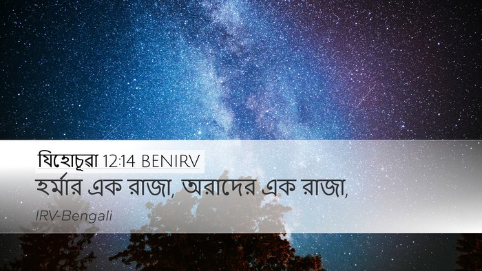 যিহোচূৱা 12:14 BENIRV Desktop Wallpaper - হর্মার এক রাজা, - Desktop Bible Verse Wallpaper