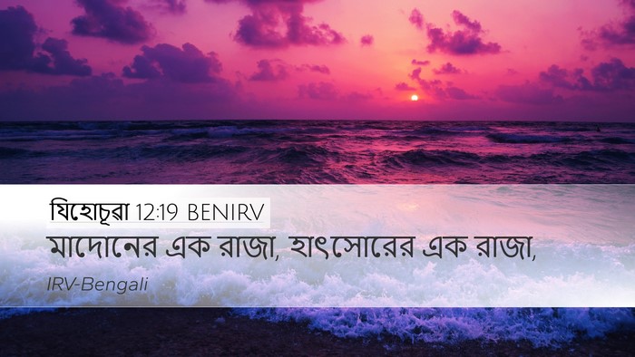 যিহোচূৱা 12:19 BENIRV Desktop Wallpaper - মাদোনের এক রাজা, - Desktop Bible Verse Wallpaper
