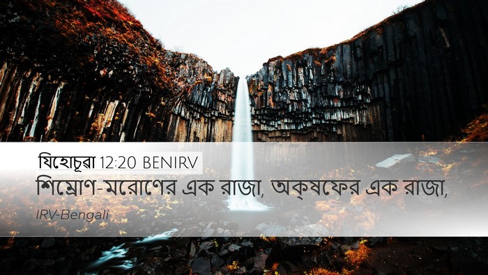 যিহোচূৱা 12:20 BENIRV Bible Verse Image