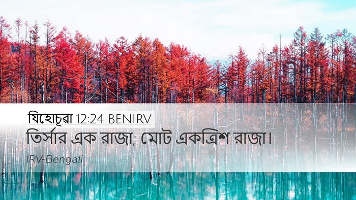 যিহোচূৱা 12:24 BENIRV Bible Verse Image