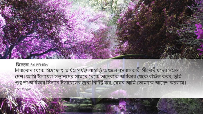 যিহোচূৱা 13:6 BENIRV Bible Verse Image