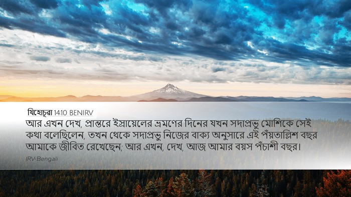 যিহোচূৱা 14:10 BENIRV Desktop Wallpaper - আর এখন দেখ, - Desktop Bible Verse Wallpaper