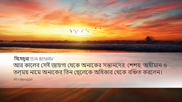 যিহোচূৱা 15:14 BENIRV Bible Verse Image