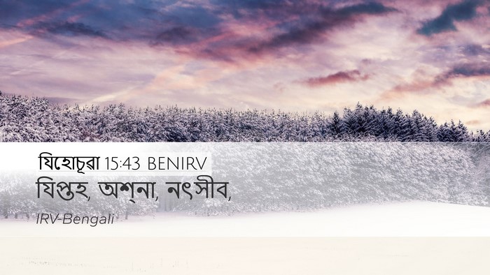 যিহোচূৱা 15:43 BENIRV Desktop Wallpaper - যিপ্তহ, অশ্‌না, - Desktop Bible Verse Wallpaper