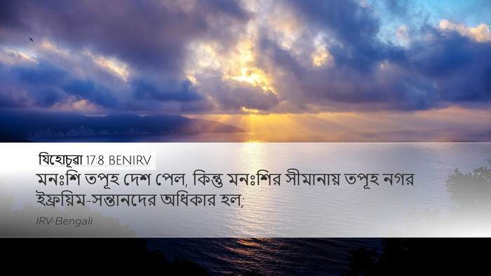 যিহোচূৱা 17:8 BENIRV Desktop Wallpaper - মনঃশি তপূহ দেশ পেল, - Desktop Bible Verse Wallpaper