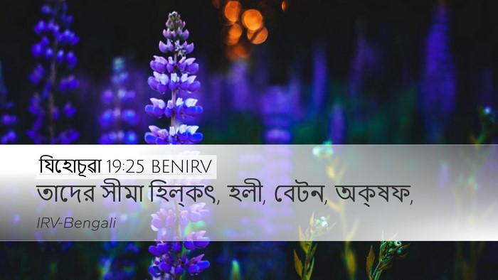 যিহোচূৱা 19:25 BENIRV Bible Verse Image