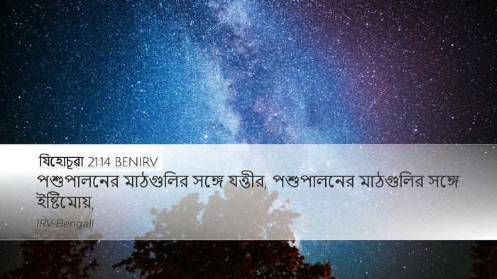 যিহোচূৱা 21:14 BENIRV Bible Verse Image
