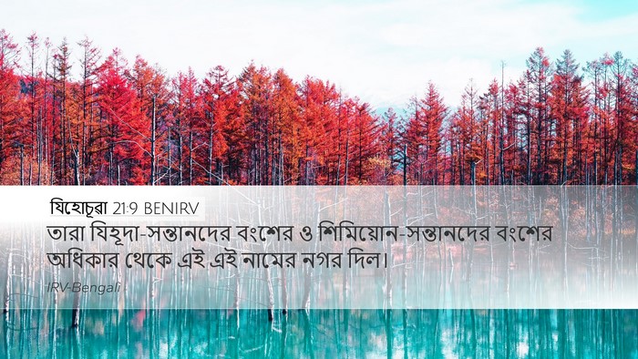 যিহোচূৱা 21:9 BENIRV Desktop Wallpaper - তারা - Desktop Bible Verse Wallpaper