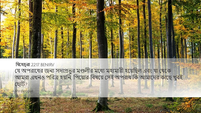 যিহোচূৱা 22:17 BENIRV Desktop Wallpaper - যে অপরাধের জন্য - Desktop Bible Verse Wallpaper
