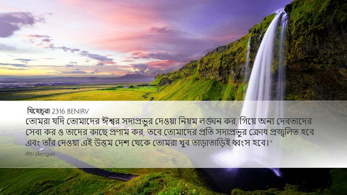 যিহোচূৱা 23:16 BENIRV Desktop Wallpaper - তোমরা যদি তোমাদের - Desktop Bible Verse Wallpaper