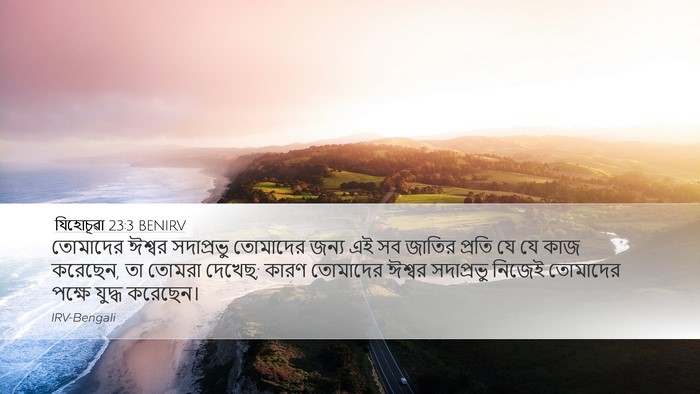 যিহোচূৱা 23:3 BENIRV Bible Verse Image