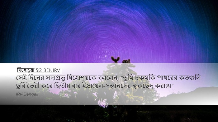 যিহোচূৱা 5:2 BENIRV Bible Verse Image
