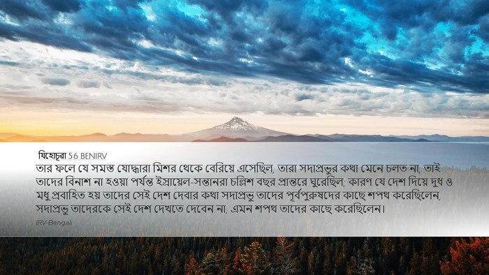 যিহোচূৱা 5:6 BENIRV Bible Verse Image