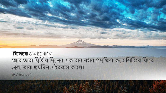 যিহোচূৱা 6:14 BENIRV Bible Verse Image
