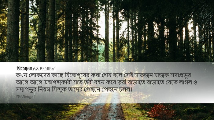 যিহোচূৱা 6:8 BENIRV Bible Verse Image