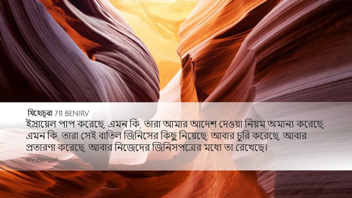 যিহোচূৱা 7:11 BENIRV Bible Verse Image