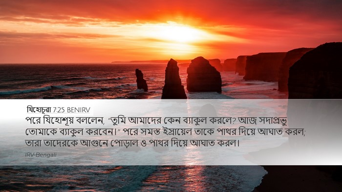 যিহোচূৱা 7:25 BENIRV Bible Verse Image